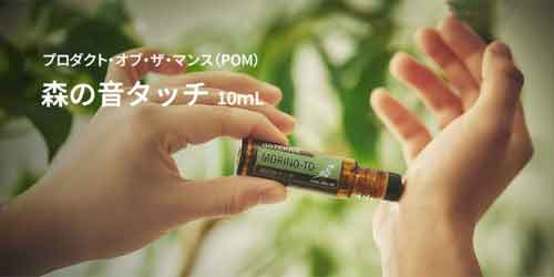 �h�e��OTG�@POM